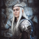 Illustration for article titled Not Sure If Cosplayer Or Actual Elven King